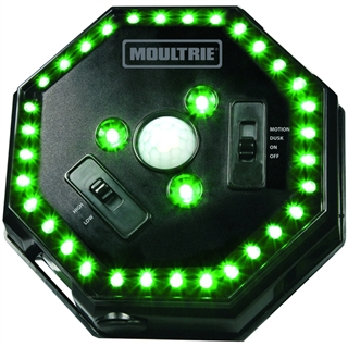 Moultrie MFA-12651 LED Hog Light, Black, 30ft Illumination, Motion Activated, Adjustable Brightness, C-Cell Battery Powered