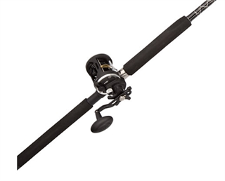 Penn Rival 20LW 2BB 6'6" MH Cast Combo