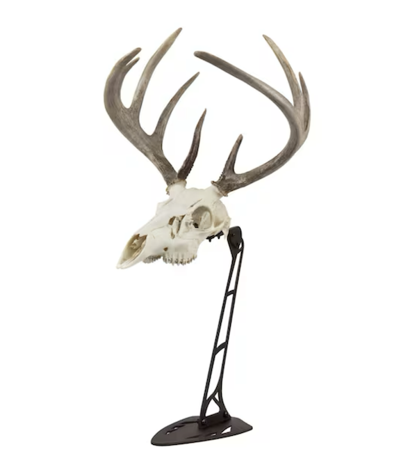 Allen EZ Mount Centerpiece Skull Stand