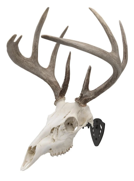 Allen EZ Mount Skull Hanger Wall Mount (Small/Mid-Size Game) - Black