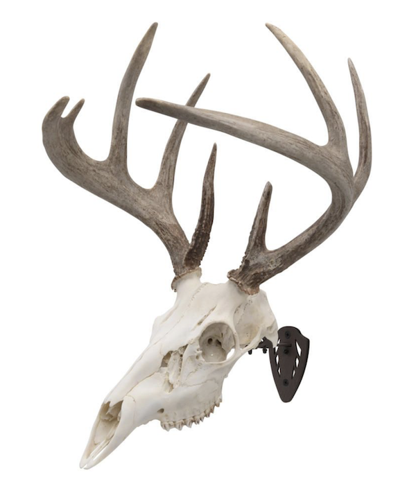 Allen 7228 EZ Mount Skull Hanger Brown