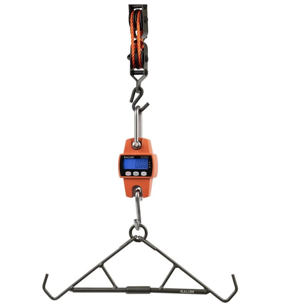 Allen Digital Game Scale