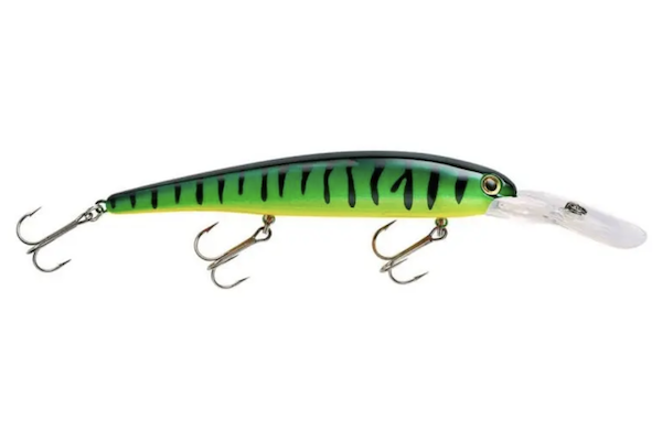 Bandit Lures BDTWBD220 WLY DP-Fire Tiger