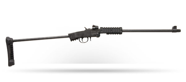 Chiappa Firearms USA Ltd - Lit.Badgr TD Black, 16.5" Barrel, 22LR, Model 500.265