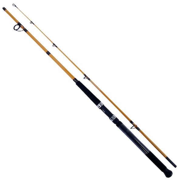FT Surf Spinning Rod 10 Length 2 Piece - Daiwa