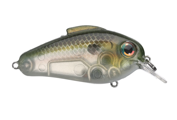 Echo Ghost Minnow 1.75 5/8 oz Fishing Lure