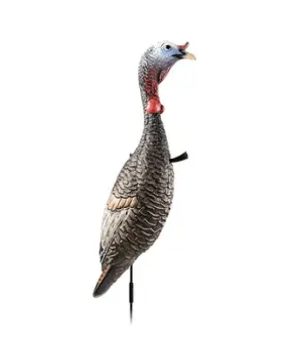 Flextone FLX-FLXDY330 Funky Chicken Gen 2 Turkey Decoy, Durable & Realistic - GSM Outdoors for sale at TheGunDock