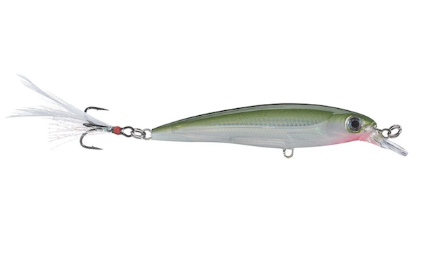Rapala XR08OG X-Rap 08 Olive Green Lure
