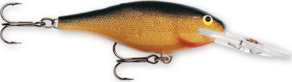 Rapala Shad Rap 06 Gold Fishing Lure