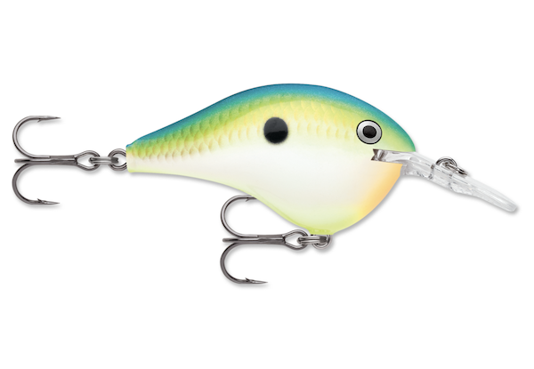 Rapala Dives-To 06 Citrus Shad Lure