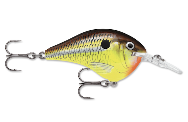 Rapala Dives-To 08 Hot Mustard Lure