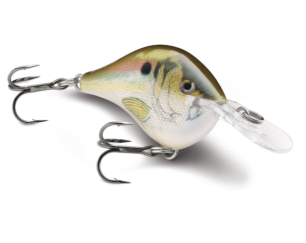 Rapala Dives-To 08 Live River Shad Lure