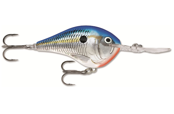 Rapala DIVES-TO 10  BLUE SHAD                              