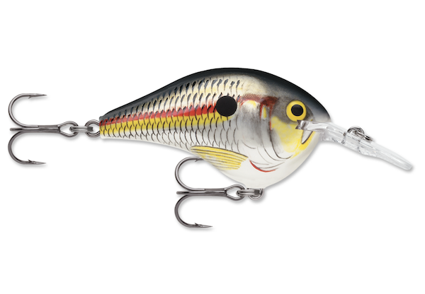 Rapala DIVES-TO 10  SHAD                                   