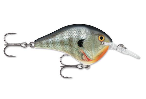 Rapala DIVES-TO 16  BLUEGILL                               