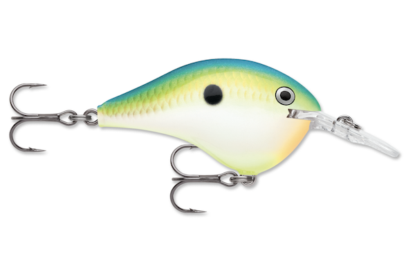 Rapala Dives-To 16 Citrus Shad