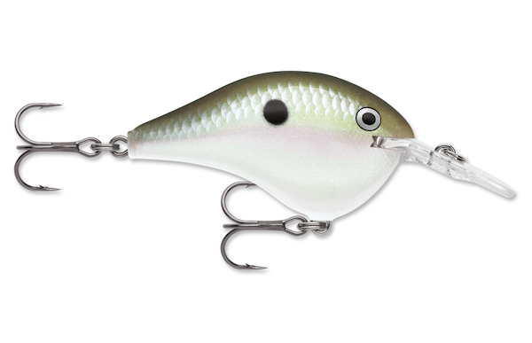 Rapala Dive-To 16 Gizzard Shad fishing lure