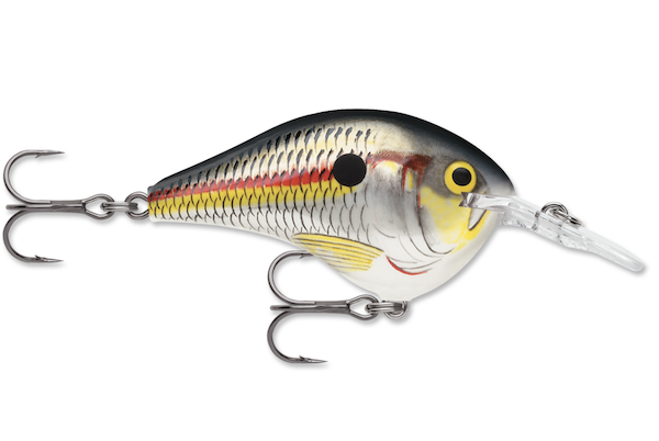 Rapala DIVES-TO 16  SHAD                                   