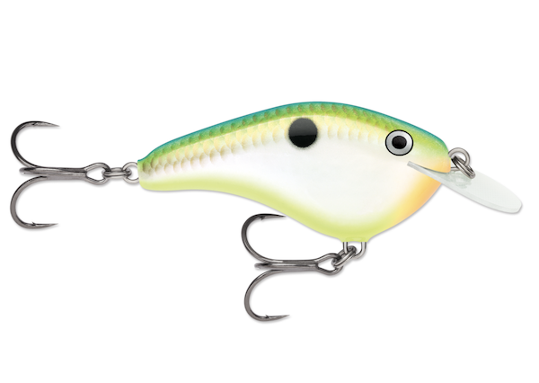 Rapala Ott's Garage Slim 06 Citrus Shad