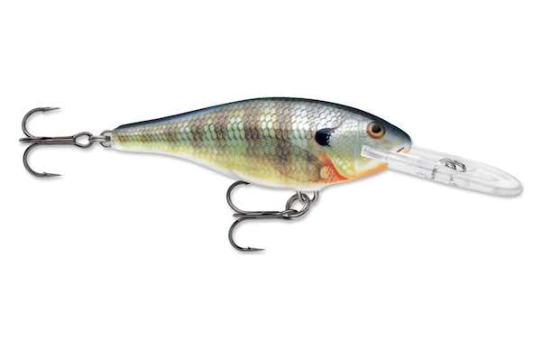 Rapala SHAD RAP 05  BLUE GILL                              
