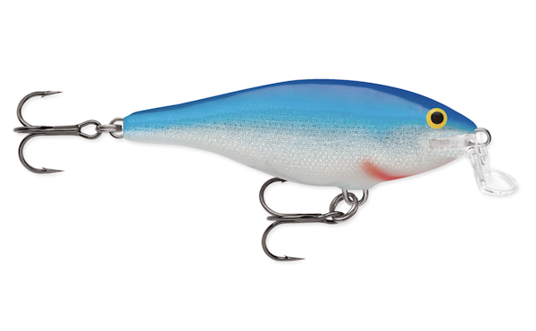 Rapala SHALLOW SHAD RAP 05  BLUE                           