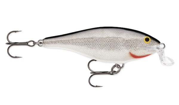 Rapala SHALLOW SHAD RAP 05  SILVER                         