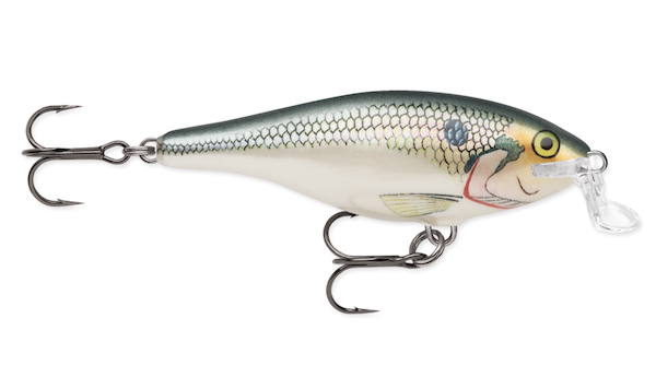 Rapala SHALLOW SHAD RAP 05  SHAD                           