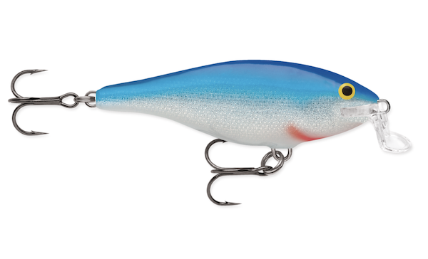 Rapala SHALLOW SHAD RAP 07  BLUE                           