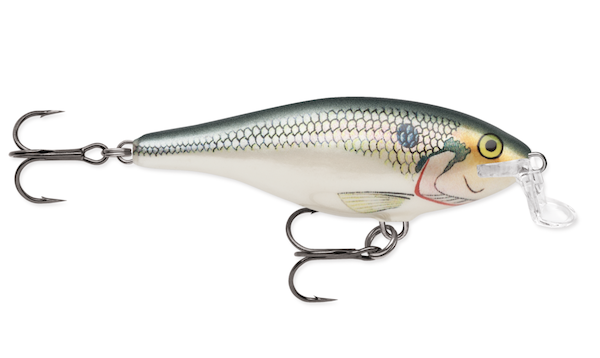 Rapala SHALLOW SHAD RAP 07  SHAD                           