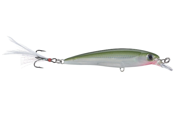 Rapala XR10OG X-Rap 10 Olive Green Lure