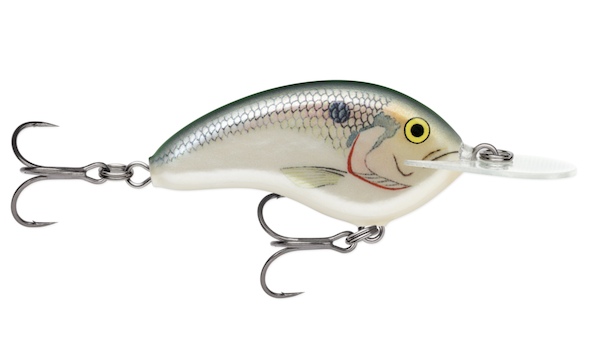 OTT'S GARAGE DEEP TINY 07 SHAD