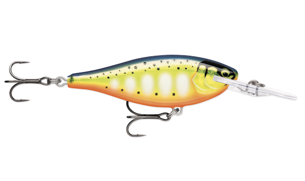 Rapala Shad Rap Elite 55 Gilded Hot Steel