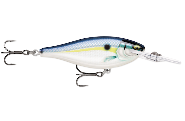 Rapala Shad Rap Elite 55 Gilded Helsinki Shad