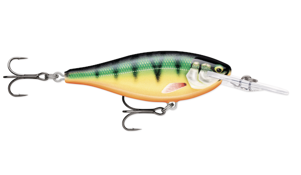 Rapala Shad Rap Elite 55 Gilded Perch (2.25 in, 1/4 oz)