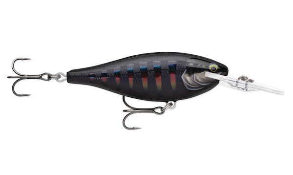 Rapala Shad Rap Elite 75 Gilded Night Aurora