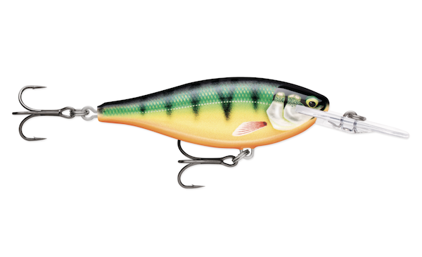 Rapala Shad Rap Elite 75 Lure; Gilded Perch