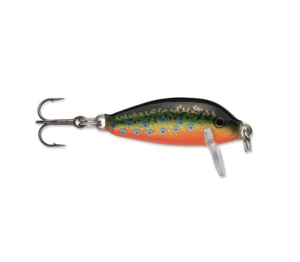 Rapala COUNTDOWN 01 RAINBOW TROUT                          