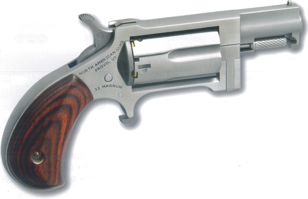 NAA SWC Sidewinder Conversion 22 LR/22 WMR 5 Shot...
