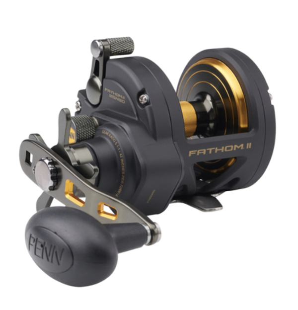 Penn Fathom II 30 Star Drag 7BB Black Gold