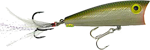 Rebel Pop'R 1/4 2.5" Tenn Shad