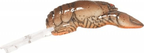 Rebel Big Craw 2 5/8" Ditch Brown