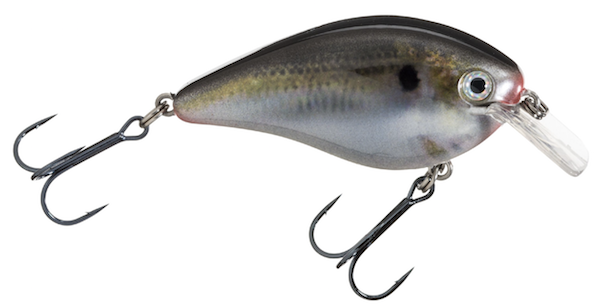 Strike King Natural Shad SK KVD Square Bill 1.5, Model HCKVDS1.5-699