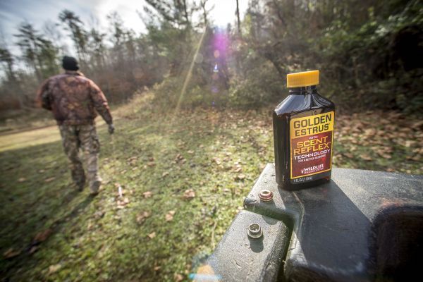 Wildlife Research Golden Estrus Scent Reflex Deer Attractant 1 oz