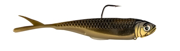 ZMAN GRAPH SHADZ 3.8" 3/8 OZ AYU                           